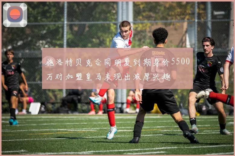 施洛特贝克合同明夏到期身价5500万对加盟皇马表现出浓厚兴趣