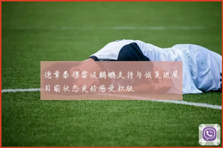 德章泰穆雷谈鹈鹕支持与恢复进展目前状态良好感受积极